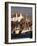 Fishing Boats, Pittenweem, Fife, Scotland, United Kingdom-Jonathan Hodson-Framed Photographic Print