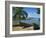 Fishing Boats Pulled Up onto the Beach at Trois Ilets Harbour, Martinique, West Indies-Richardson Rolf-Framed Photographic Print