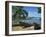 Fishing Boats Pulled Up onto the Beach at Trois Ilets Harbour, Martinique, West Indies-Richardson Rolf-Framed Photographic Print