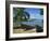 Fishing Boats Pulled Up onto the Beach at Trois Ilets Harbour, Martinique, West Indies-Richardson Rolf-Framed Photographic Print