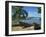 Fishing Boats Pulled Up onto the Beach at Trois Ilets Harbour, Martinique, West Indies-Richardson Rolf-Framed Photographic Print