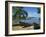 Fishing Boats Pulled Up onto the Beach at Trois Ilets Harbour, Martinique, West Indies-Richardson Rolf-Framed Photographic Print