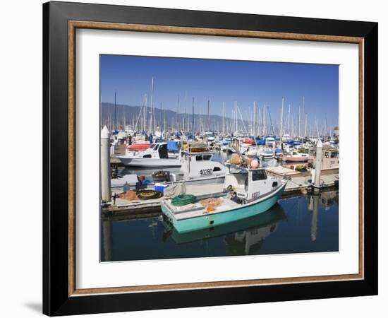 Fishing Boats, Santa Barbara Harbor, California, United States of America, North America-Richard Cummins-Framed Photographic Print