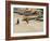 Fishing Boats, Tarrafal, Santiago, Cape Verde Islands, Africa-R H Productions-Framed Photographic Print