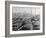 Fishing Boats Tied Up in the Golden Horn Looking Toward Galata Tower and the City-Margaret Bourke-White-Framed Photographic Print