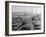 Fishing Boats Tied Up in the Golden Horn Looking Toward Galata Tower and the City-Margaret Bourke-White-Framed Photographic Print