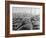 Fishing Boats Tied Up in the Golden Horn Looking Toward Galata Tower and the City-Margaret Bourke-White-Framed Photographic Print