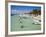 Fishing Boats Tied Up, Isla Mujeres, Quintana Roo, Mexico-Julie Eggers-Framed Photographic Print