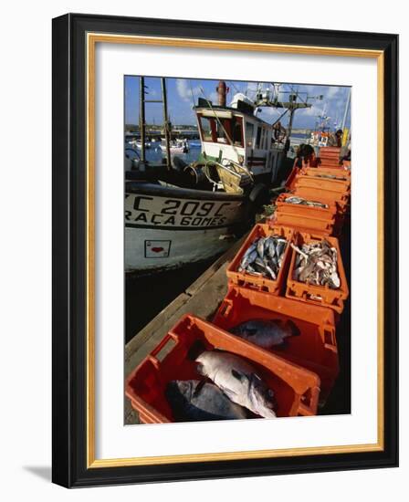 Fishing Boats Unloading, Sagres, Algarve, Portugal, Europe-Neale Clarke-Framed Photographic Print