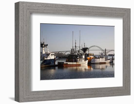 Fishing Boats with Yaquina Bay Bridge in Background, Newport, Oregon, USA-Jamie & Judy Wild-Framed Photographic Print