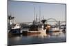 Fishing Boats with Yaquina Bay Bridge in Background, Newport, Oregon, USA-Jamie & Judy Wild-Mounted Photographic Print