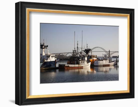 Fishing Boats with Yaquina Bay Bridge in Background, Newport, Oregon, USA-Jamie & Judy Wild-Framed Photographic Print