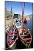 Fishing Cabin and Ancient Fishing Boats-Guy Thouvenin-Mounted Photographic Print