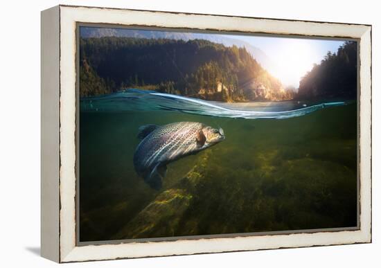 Fishing. Close-Up Shut of a Fish Hook under Water-Rocksweeper-Framed Premier Image Canvas