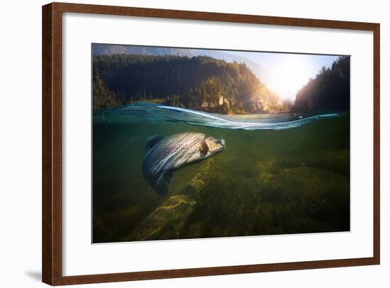 Fishing. Close-Up Shut of a Fish Hook under Water-Rocksweeper-Framed Photographic Print