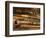 Fishing Equipment-Tom Grill-Framed Photographic Print