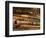 Fishing Equipment-Tom Grill-Framed Photographic Print