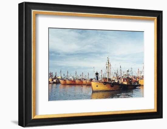 Fishing Fleet in Port, Mar Del Plata, Argentina, South America-Mark Chivers-Framed Photographic Print