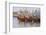 Fishing Fleet. Phan Thiet Harbor. Bhin Thuan Province. Vietnam-Tom Norring-Framed Photographic Print