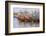 Fishing Fleet. Phan Thiet Harbor. Bhin Thuan Province. Vietnam-Tom Norring-Framed Photographic Print