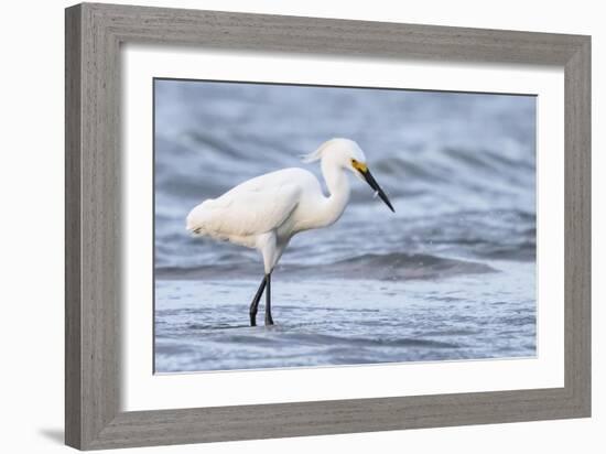 Fishing For Compliments-Wink Gaines-Framed Giclee Print