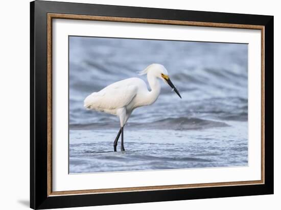 Fishing For Compliments-Wink Gaines-Framed Giclee Print