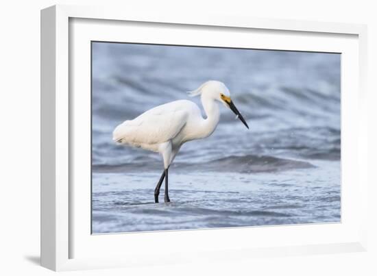 Fishing For Compliments-Wink Gaines-Framed Giclee Print