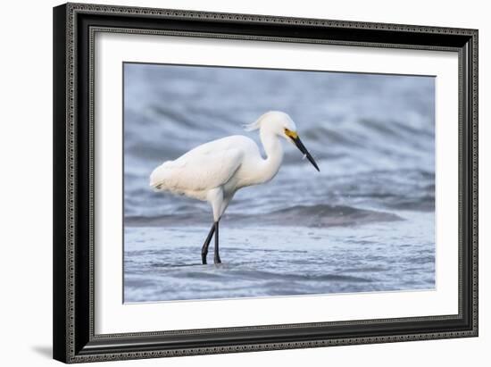 Fishing For Compliments-Wink Gaines-Framed Giclee Print