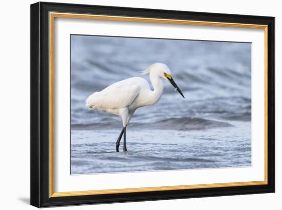 Fishing For Compliments-Wink Gaines-Framed Giclee Print