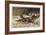 Fishing for Trout in Rapids Canada-Frank Feller-Framed Art Print