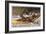 Fishing for Trout in Rapids Canada-Frank Feller-Framed Art Print