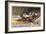 Fishing for Trout in Rapids Canada-Frank Feller-Framed Art Print