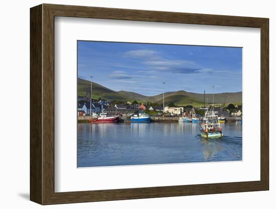 Fishing Harbour in Dingle Town, Dingle Peninsula, County Kerry, Ireland-null-Framed Photographic Print