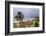 Fishing Harbour in the Fishing Town of Sciacca-Matthew Williams-Ellis-Framed Photographic Print