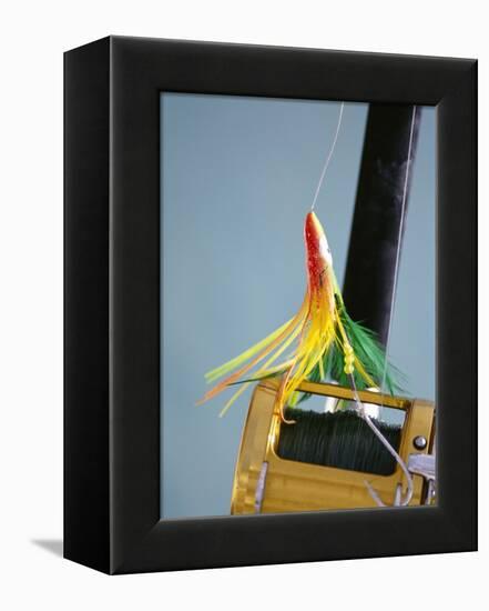 Fishing Hook and Line-David Papazian-Framed Premier Image Canvas