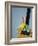 Fishing Hook and Line-David Papazian-Framed Photographic Print