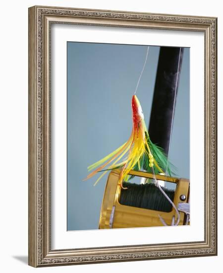 Fishing Hook and Line-David Papazian-Framed Photographic Print