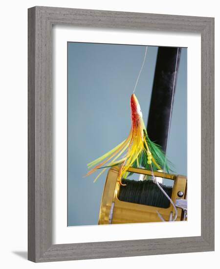 Fishing Hook and Line-David Papazian-Framed Photographic Print