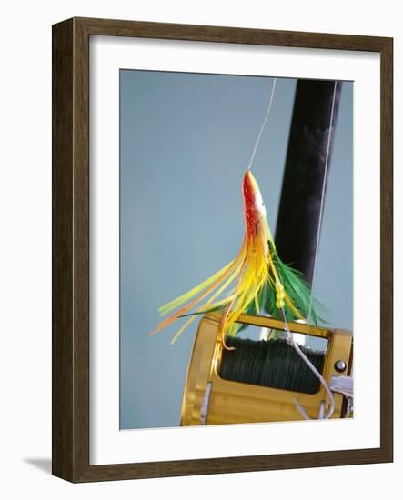 Fishing Hook and Line-David Papazian-Framed Photographic Print