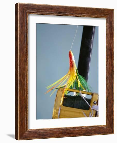 Fishing Hook and Line-David Papazian-Framed Photographic Print