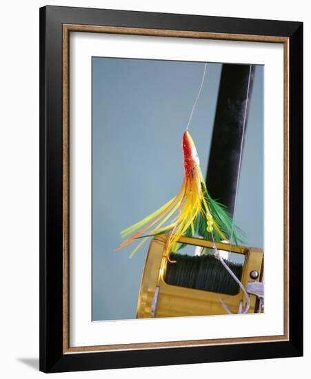 Fishing Hook and Line-David Papazian-Framed Photographic Print