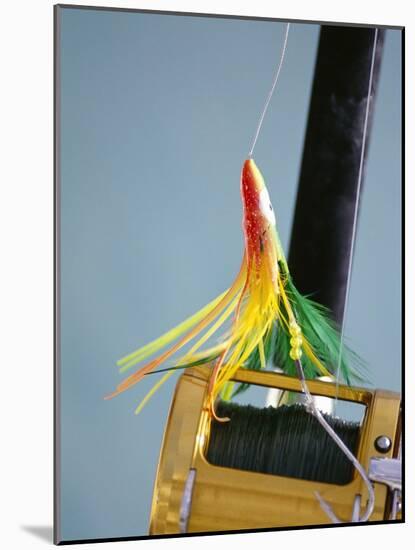 Fishing Hook and Line-David Papazian-Mounted Photographic Print