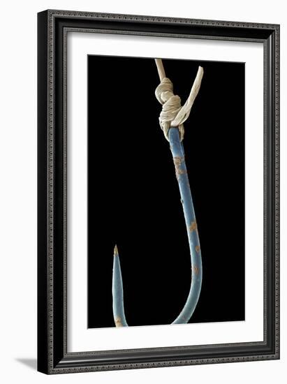 Fishing Hook, SEM-Steve Gschmeissner-Framed Photographic Print