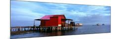 Premium Photographic Print