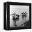 Fishing in Grand Canal in Soo-chow China Photograph - Soo-chow, China-Lantern Press-Framed Stretched Canvas