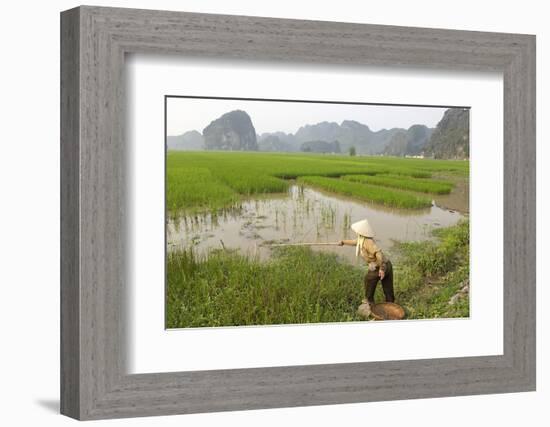 Fishing in the Rice Fields, Tam Coc, Ninh Binh Area, Vietnam, Indochina, Southeast Asia, Asia-Bruno Morandi-Framed Photographic Print