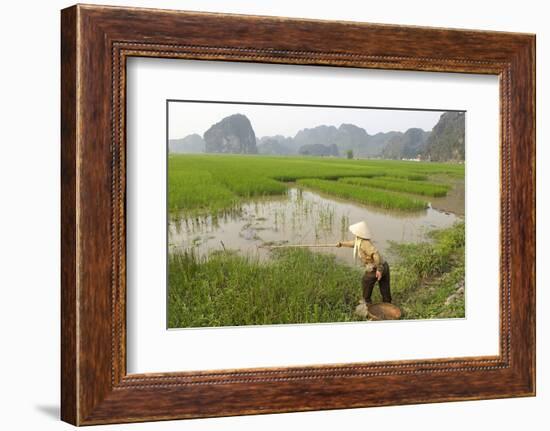 Fishing in the Rice Fields, Tam Coc, Ninh Binh Area, Vietnam, Indochina, Southeast Asia, Asia-Bruno Morandi-Framed Photographic Print