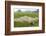 Fishing in the Rice Fields, Tam Coc, Ninh Binh Area, Vietnam, Indochina, Southeast Asia, Asia-Bruno Morandi-Framed Photographic Print