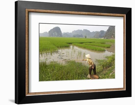 Fishing in the Rice Fields, Tam Coc, Ninh Binh Area, Vietnam, Indochina, Southeast Asia, Asia-Bruno Morandi-Framed Photographic Print