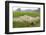 Fishing in the Rice Fields, Tam Coc, Ninh Binh Area, Vietnam, Indochina, Southeast Asia, Asia-Bruno Morandi-Framed Photographic Print